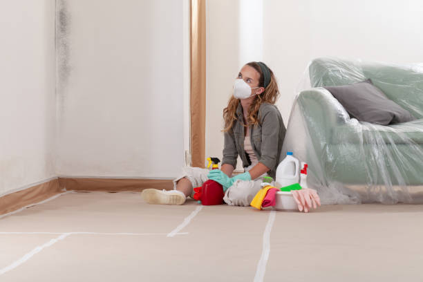 Reliable Black Mold Removal contractor in Roslyn Heights, NY by WQB Mold Removal